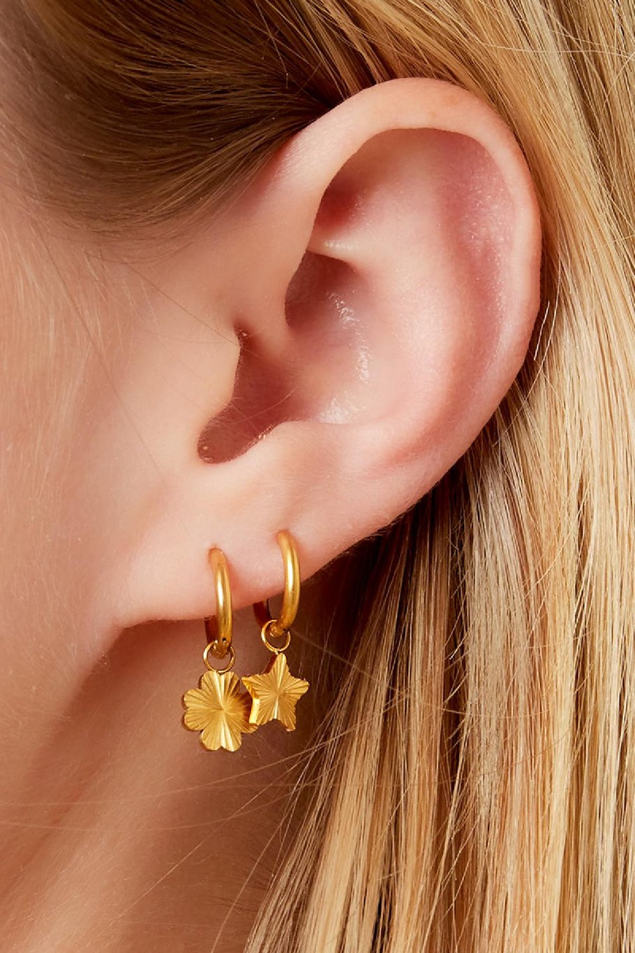 Stainles steel earrings clover Gold Color Stainless Steel Picture3